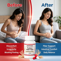 Vente En Gros Gélules Psyllium 500mg Complément De Fibres Végétalien Santé Intestinale Régularité Digestive Marque Privée OEM