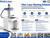 Machine de marquage laser à fibre tout-en-un 20W 50W, dispositif de gravure laser de bureau pour métal, plastique, bijoux et impression de logos