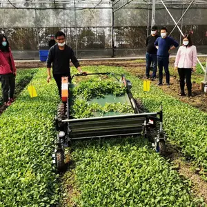 Máquina cosechadora de hojas 2020 vegetales