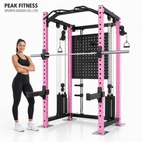 Rack de Squat Pliant Mural Multifonctionnel Commercial Moderne 2026 avec Acier Inoxydable Personnalisable pour Usage Domestique et en Salle de Sport