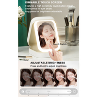 Portable 2 in 1 Mini Cosmetic Travel Organizer Case and Makeup Mirror 3 Color Modes Led Light Vanity Desk Mirrors for Women Gift