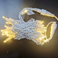 Hochleistungs-220-V-Rotgummikabel CE-geprüftes 4-W-Energiespar-RGB-Blitz-LED-Lichterketten
