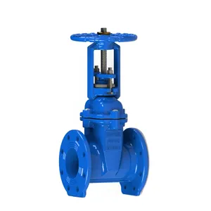 DIN3352 F4 F5 Stijgende Stem Zachte Afdichting Gietijzer GGG40 Ggg50 Wras Gecertificeerd Flens End PN10 PN16 Sluisklep Gate valve