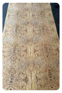 New Design 4*8 Feet Rotary Cut Washed Walnut <strong>Burl</strong> <strong>Wood</strong> <strong>Veneer</strong> High Grade <strong>Burl</strong> <strong>Veneer</strong> Sheets - Product Image 4