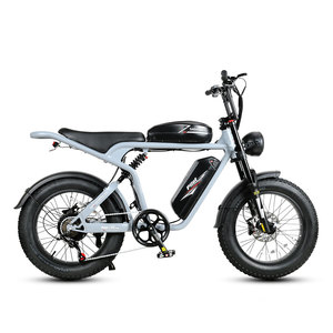 Bicicleta Eléctrica Híbrida M20-II 48V con Cuadro de Acero de Alto Carbono de 20 Pulgadas y Neumáticos Anchos, Disponible en Almacenes de la UE y EE. UU. - Product Image 4