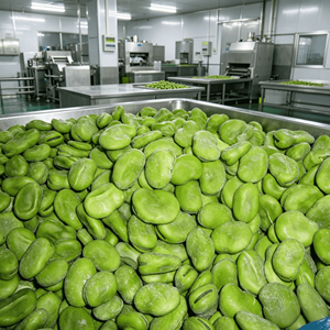 Fave Intere Congelate IQF di Alta Qualità a Prezzo di Fabbrica, Marchi OEM Disponibili - Product Image 4