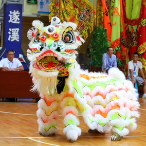 Costume de danse du lion pour <span class=keywords><strong>adulte</strong></span>, célébration du Nouvel An <span class=keywords><strong>chinois</strong></span>, mascotte, patrimoine culturel immatériel, costume de performance de danse du lion - Product Image 1
