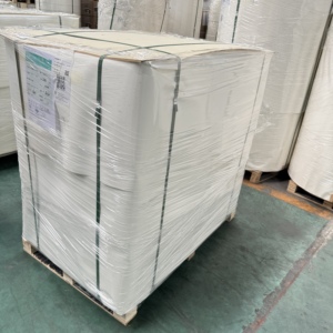 Gobelet en papier de haute qualité enduit de PE, en feuille, 150-320 g/m², pour la production de gobelets en papier jetables pour boissons - Product Image 6