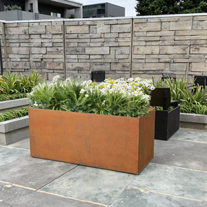 Bền Nhiệm Vụ Nặng Nề Trong Nhà/Ngoài Trời Hiện Đại Kim Loại Planter Hộp Trang Trí Sân Vườn Trang Trí Corten Thép Mini Nhà Máy Nồi Cho Trồng - Product Image 4