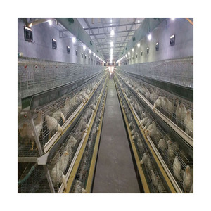 <span class=keywords><strong>Rwanda</strong></span> Gia Cầm Trang Trại Thiết Bị H Loại Gà Con Lớp Trứng Con Gà Lồng Sắt - Product Image 2