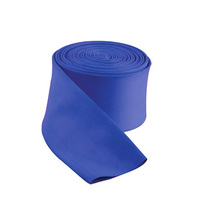 100 Fuß über und im Boden schwimmbad blau Ökonomische PVC-Schwimmschlauch für das Becken