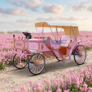 Chariots à chevaux européens pour touristes, chariots à chevaux roses pour visites touristiques, chariots à chevaux électriques pour mariages - Product Image 5