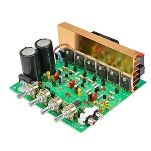 DX-2.1 Hochleistungs-Audio-Verstärker Board AC 18-24V Hochleistungs-Subwoofer 3*80W Doppelkanal-Ausgang Sound AMP Maschine Board Chipwelldone