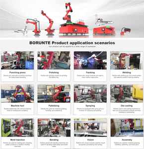 Robot Automático BORUNTE BRTIRUS2110A de 6 Ejes, Carga Útil de 20 kg, Brazo de 2110 mm, Motor PLC, IP54, Alta Precisión, Servoeléctrico para Paletización - Product Image 5