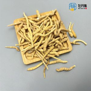 Radix pseudostellariae thuốc thảo dược Trung Quốc Chất lượng cao Bán buôn giá thấp xuất khẩu nhà máy directsale Tai Zi Shen - Product Image 2