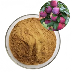 จำหน่ายผงสารสกัดจากพลัมคุณภาพสูง <span class=keywords><strong>Prunus</strong></span> Domestica - Product Image 6