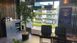 Sistema de Cultivo Hidropónico Inteligente para Interiores con Bomba y PLC para Agricultura Vertical sin Suelo - Product Image 2