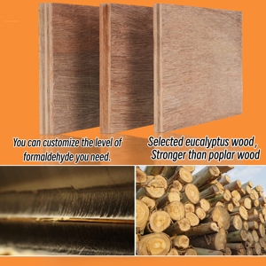 卸売業者エコフレンドリー天然クルミベニヤ壁パネルユーカリ合板 - Product Image 5