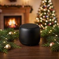 Mini enceintes avec volume élevé, mini canons en acier, équipement audio sans fil portable pour l'extérieur