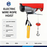 Mini palan électrique sans fil 110V 220V, résistant à la corrosion et à l'usure, faible bruit, 300-1000kg, pour levage en atelier, grue et entrepôt
