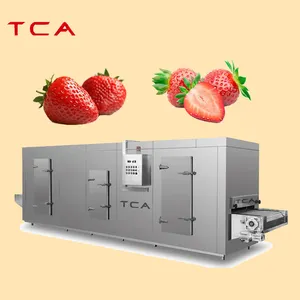 टीसीए फ्रीजर त्वरित iqf फ्रीजर मशीन सुरंग फल और सब्जियों व्यक्तिगत त्वरित फ्रीजर