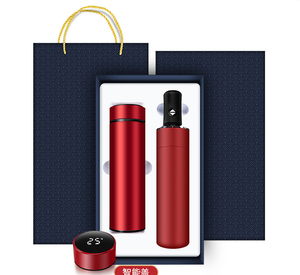 Regalos Corporativos de Oficina con Logotipo Personalizado de Alta Calidad, Artículos Promocionales para Empresas, Juego de Regalo con Paraguas y Taza Térmica para Hombre - Product Image 2