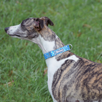Collier de chien de meilleure qualité, colliers réfléchissants de luxe en nylon durable avec logo personnalisé imprimé à dégagement rapide pour petits chiens de taille moyenne