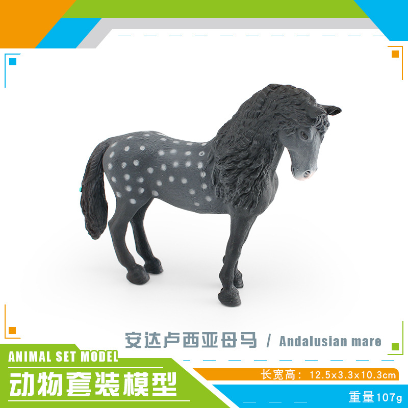 PL127-3081 Andalusian mare 107g