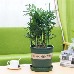 Tuinieren Benodigdheden Bloem Decoratieve Trellis Plant Ondersteuning Klimrek Plant Frame Huis Multi-Functioneel Duurzaam Metaal - Product Image 2