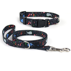 Robustes Umweltfreundliches Gurtband mit Walmuster, Passendes Hundehalsband und Leine für Kleine Jungen, Mädchen, Hunde, Katzen und Haustiere - Product Image 3