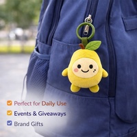 Porte-clés en peluche personnalisé, jouet en peluche doux, boîte mystère, design poire, fournisseur OEM de cadeaux promotionnels scolaires et de marchandises de mascotte