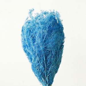 Micro Paysage Arbres Arbustes DIY Cadre Photo Peinture Décoration Modèle Architectural Vie Éternelle Fleur Saint Valentin - Product Image 5