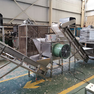 Línea de producción automática de cebolla en polvo, máquina peladora de cebolla, ajo, Chile, jengibre, línea de procesamiento de cebolla de alta calidad - Product Image 3