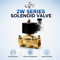 Vanne solénoïde en laiton série 2W normalement fermée DN10 à DN50 PN16, vanne d'eau à actionnement électrique