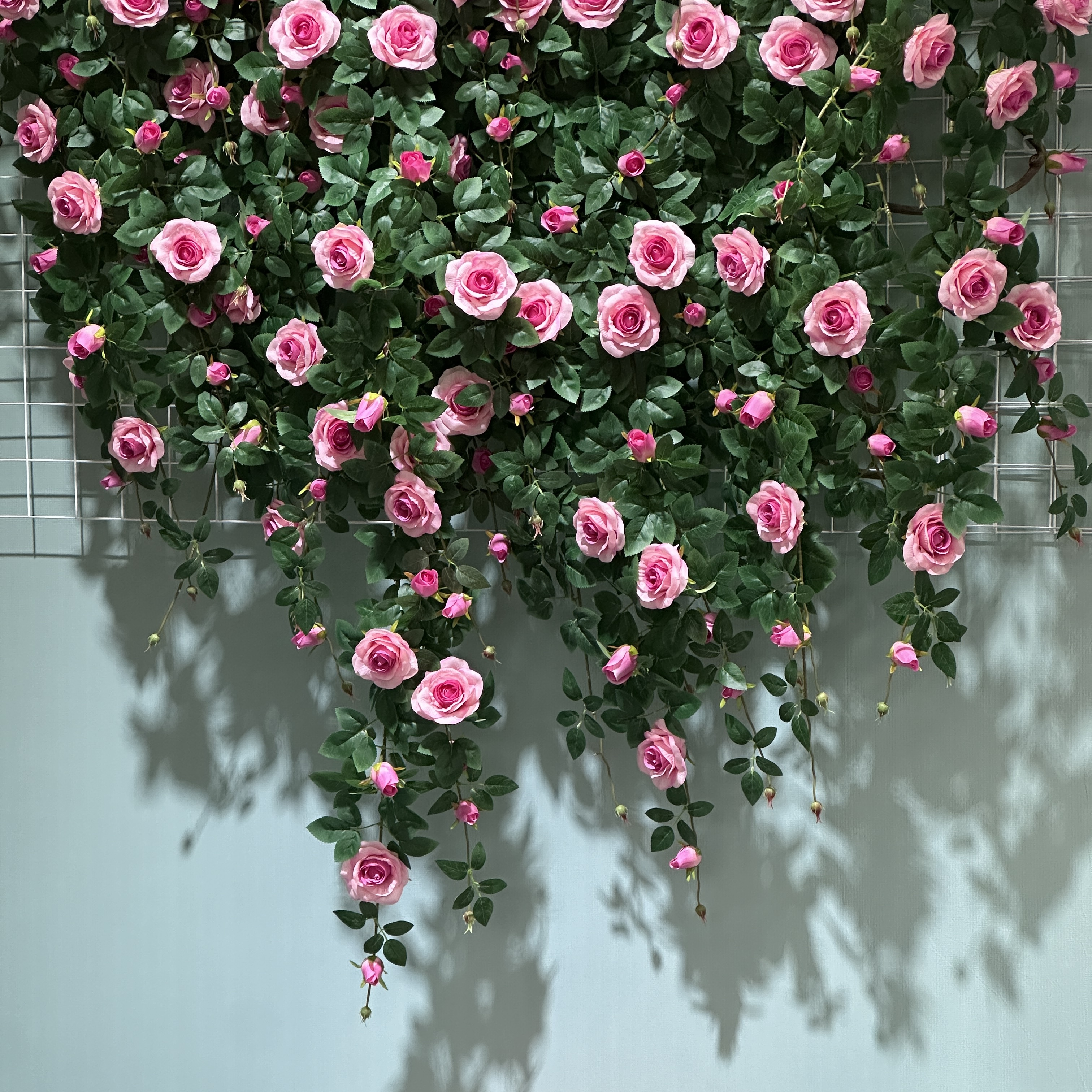 rose pink