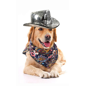 Chapeau de cowboy miroir disco pour animaux de compagnie, accessoires de fête pour chats et chiens, vente en gros à <span class=keywords><strong>prix</strong></span> abordable - Product Image 6