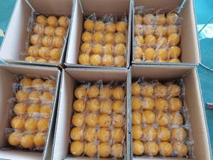 Benutzer definiertes Logo Silikon kautschuk <span class=keywords><strong>Massage</strong></span> Lacrosse Balls Trigger Point Therapy <span class=keywords><strong>Massage</strong></span> <span class=keywords><strong>ball</strong></span> - Product Image 3