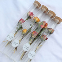 Mini bouteilles de souhait pour la fête des mères, Rose éternelle, Bouquet de fleurs séchées, Tube en verre, vente en gros