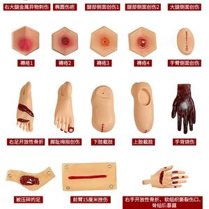 43 PCS Primeros auxilios Trauma Modelos de enfermería Juego de evaluación de trauma Simulación avanzada Juego de módulos de evaluación de Trauma - Product Image 3