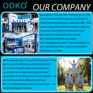 PPF de couleur OEM pour véhicules commerciaux, film TPU durable, changement de couleur, haute visibilité, <span class=keywords><strong>logo</strong></span> personnalisé pour Honda Civic <span class=keywords><strong>Tesla</strong></span> Model 3 - Product Image 6