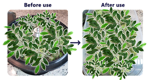 Gobelet pour plantes à coupe hydroponique de 19 pouces, bourgeon de fleur, feuille torsadée - Product Image 6