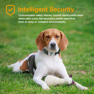 Monitor Inteligente de <span class=keywords><strong>Salud</strong></span> para Mascotas B2B, Análisis de Datos en la Nube, Rastreador Portátil, Logotipo Personalizado, Servicio OEM para Marcas de Seguros para Mascotas - Product Image 4