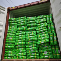 Bâche en plastique à bas prix, fabriquée en Chine, avec toutes les spécifications pour le couverture de camions, de bateaux et de bois