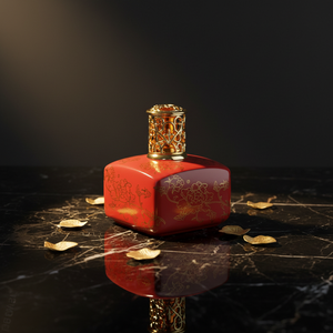 Lampada per Profumo in Ceramica con Bruciatore a Stoppino, Incenso Cinese, Fragranza Aromaterapica per Tutte le Stagioni - Product Image 5