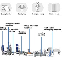 Línea de Producción de Snus de Alta Velocidad y Múltiples Carriles, Máquina para Fabricar Bolsas de Nicotina de 260 Bolsas/min, Llenado de Precisión con Certificación CE