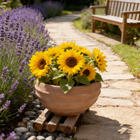 Pot de fleurs de jardin en GRC (ciment renforcé de fibres) circulaire surdimensionné, élégant et personnalisable en gros