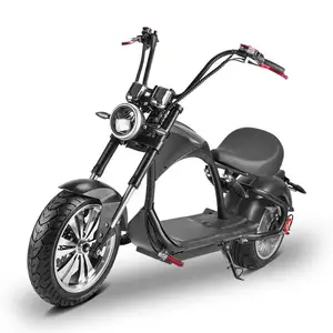 2023 EU USA Lager Promotion Preis City Scooter 1000w 1500w 2000W 3000W Langstrecken-Elektro roller Elektromotor rad