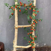 Vigne de fleurs artificielles décorative pour balcon, vigne de théier en soie, fausses fleurs, lierre décoratif pour plafond, rotin