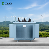 Transformateur de distribution triphasé immergé dans l'huile ZISHENG certifié CUL, 100-5000 KVA, 50/60Hz, série S13, personnalisable