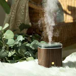 Produk baru OEM 200ML penyebar aromaterapi serat kayu penyebar es mesin kontrol portabel penyebar Aroma minyak - Product Image 2